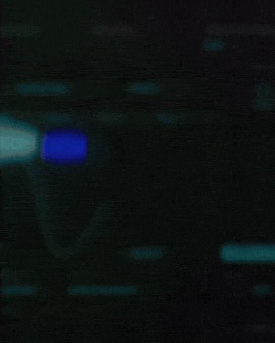 TRAPOLOGY2-LOOPKIT-WHATSINSIDE-ezgif.com-optimize.gif__PID:ab0189d1-f281-4ebf-b22f-6a488632b1e9